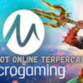 Microgaming Adalah Provider Slot Online Terpercaya Saat Ini